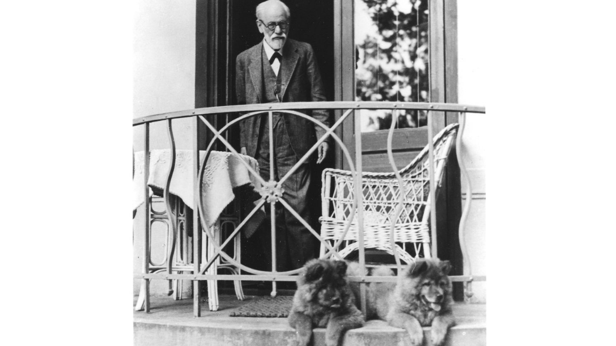 Leia mais sobre o artigo Por onde começar a ler Freud